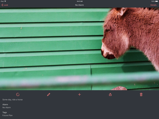 Look Reminder 2 iPad screenshot 3 - Productivity app