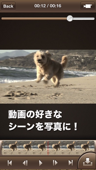 動画から瞬間を切り出す「MovieToIm... screenshot1