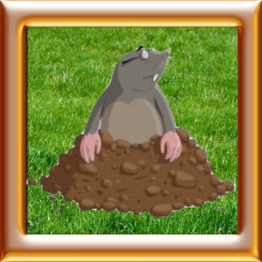 Whack A Mole - Smack Hamster icon