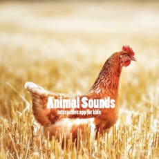 Activities of Animal Sounds for your baby