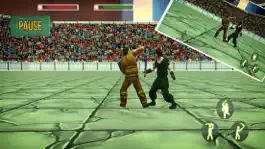Game screenshot Меч борьба 2017 apk