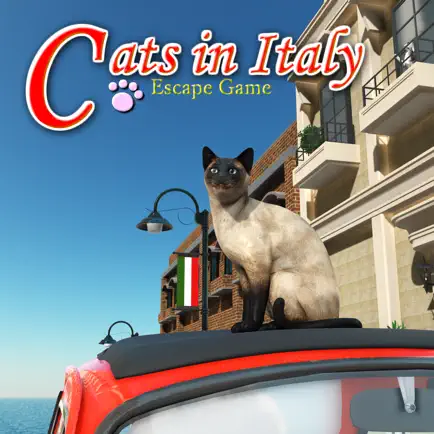 Escape Game:Cats in Italy Cheats