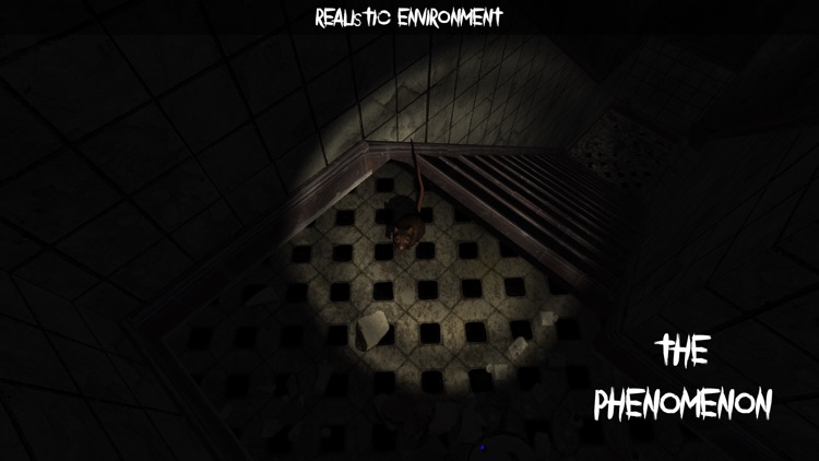 The Phenomenon screenshot-3