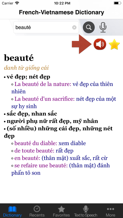 French-Vietnamese Dictionary Screenshot