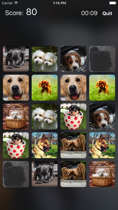 Puppy Match - Game of Memory screenshot 3