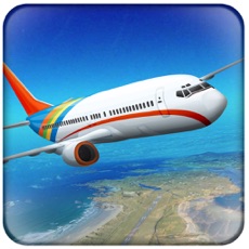 Activities of Flying Airplane Simulator 3D