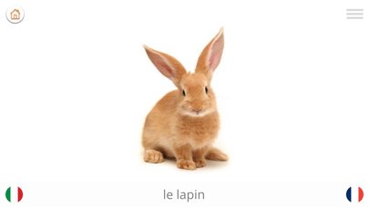 Screenshot #3 pour Jouer et apprendre l'italien