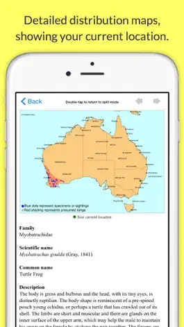 Game screenshot Frogs of Australia hack