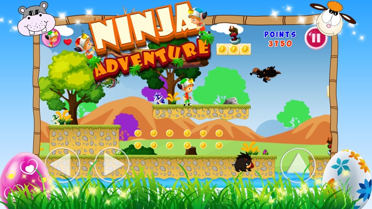 Ninja Run Adventure!
