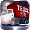 TruckSim: 3D Night Parking Simulator - iPhoneアプリ