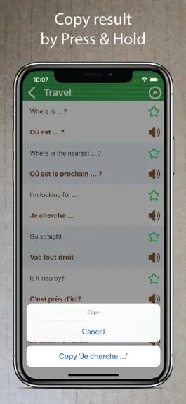 Game screenshot Learn French Phrasebook Pro + hack