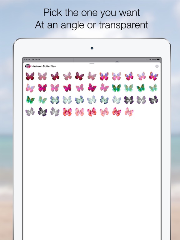 Screenshot #5 pour Haulwen Butterflies