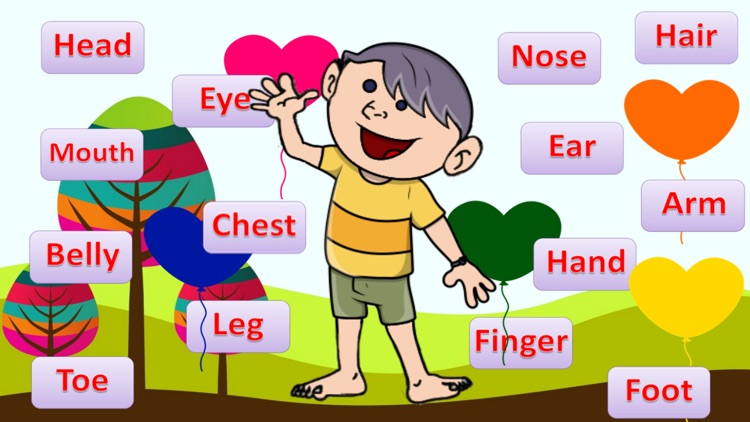 Learn Body Parts English