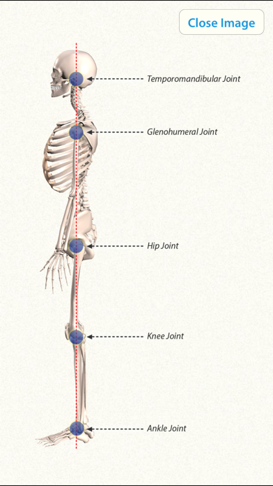 3D Yoga Anatomyのおすすめ画像5