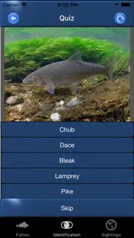 Fish Id - Freshwater Fish UK iphone bilder 2