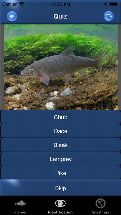 Screenshot #3 pour Fish Id - Freshwater Fish UK