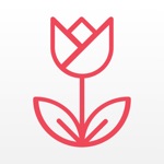 Motion in Parkinsons Disease