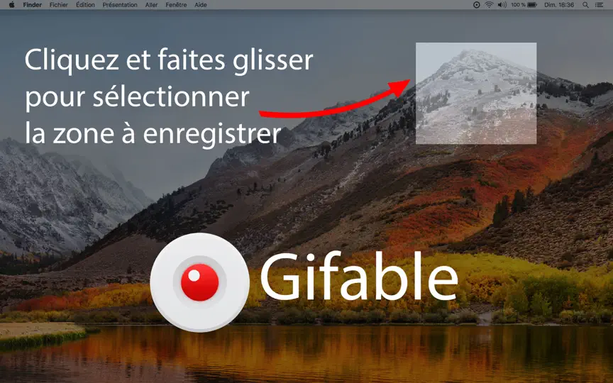 Capture d'écran de Gifable – Enregistreur D’écran sur iPhone 2