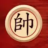 Chinese Chess XiangQi App Feedback