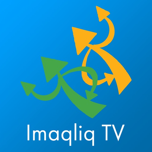IMAQLIQ TV Remote Pro