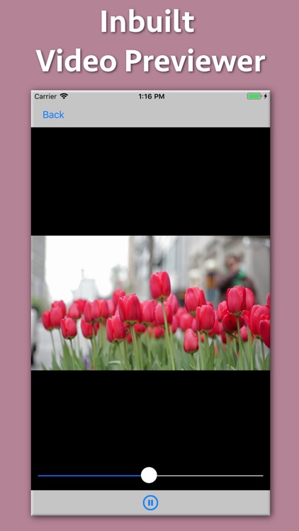 Video Pixel Resizer