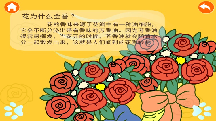 兔宝宝和十万个为什么：植物世界