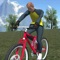 Hilly BMX 3D Racing