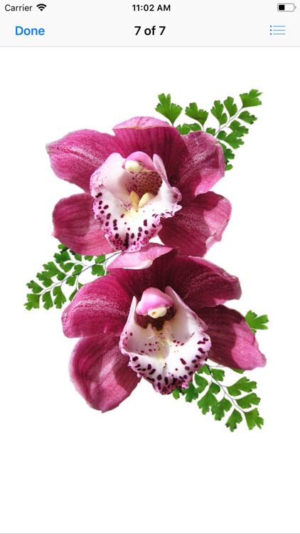 Orchid Stickers screenshot-7