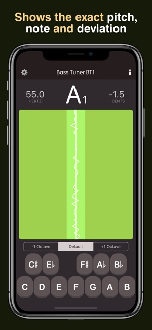 Bass Tuner BT1 Pro