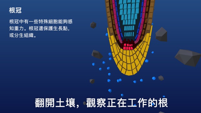 NAMOO 納木 - 植物界的奇蹟(圖5)-速報App