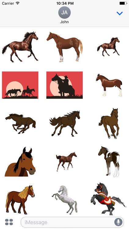 Majestic Horse Stickers