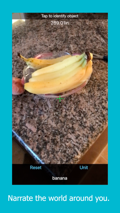 Screenshot #3 pour Glimpse - AR Visual Aid