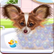 ‎Papillon Puppy Day Care