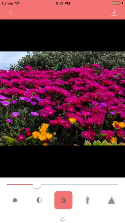 TasticPhoto screenshot-4