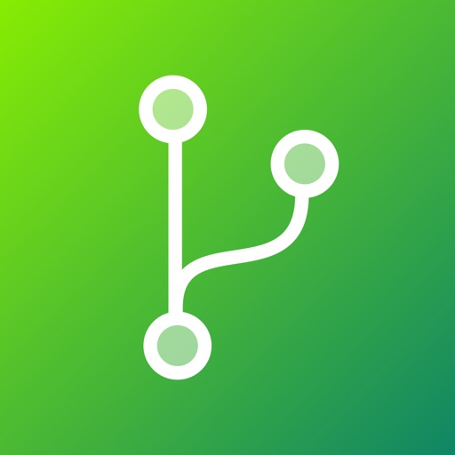 Branches - issue management icon