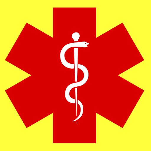 Standard First Aid Icon