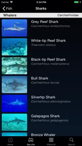 Game screenshot Sea Life Australia apk