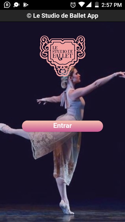 Le Studio de Ballet Movil