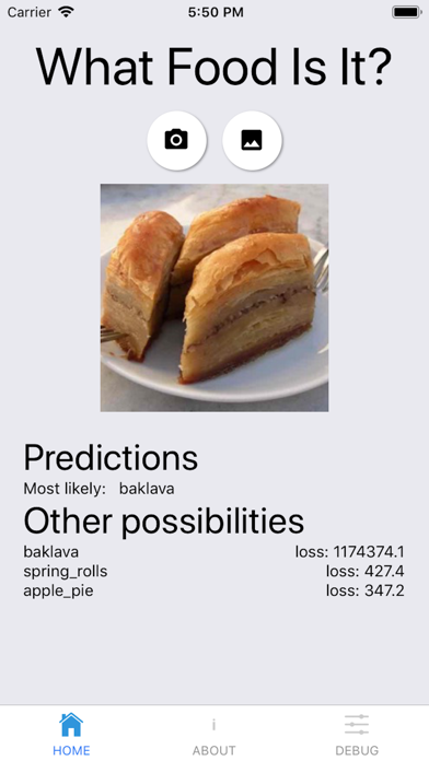 Food Classifier screenshot 3
