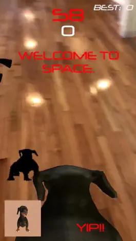 Game screenshot Space Dog Cru apk