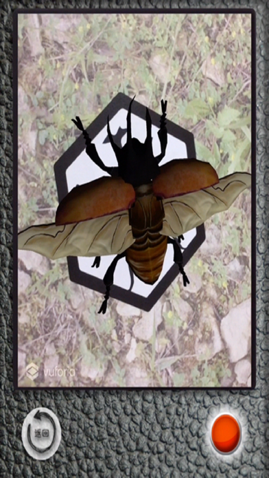 The Insect AR screenshot