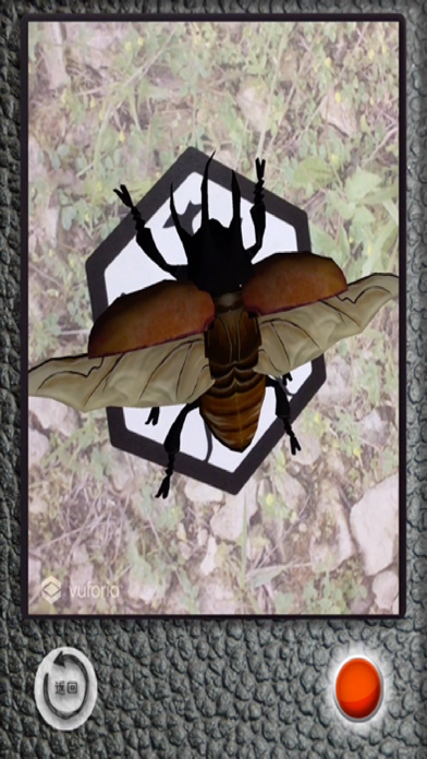 The Insect AR screenshot 4