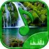 Similar Relaxing Nature - Forest Sounds Apps