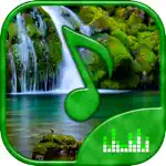 Relaxing Nature - Forest Sounds App Alternatives