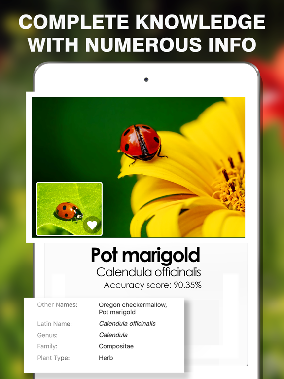Screenshot #5 pour Smart Identifier: Plant+Insect