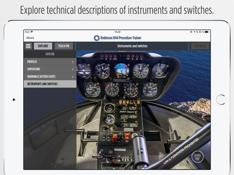 Robinson R44 Procedure Trainer