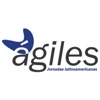 Agiles 2017