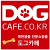 도그카페 - dogcafe