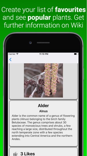 Plant Dictionary Pro(圖3)-速報App
