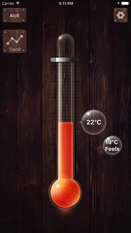 Thermometer-Simple thermometer